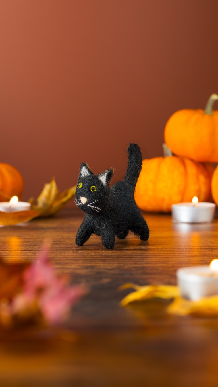 Black Cat
