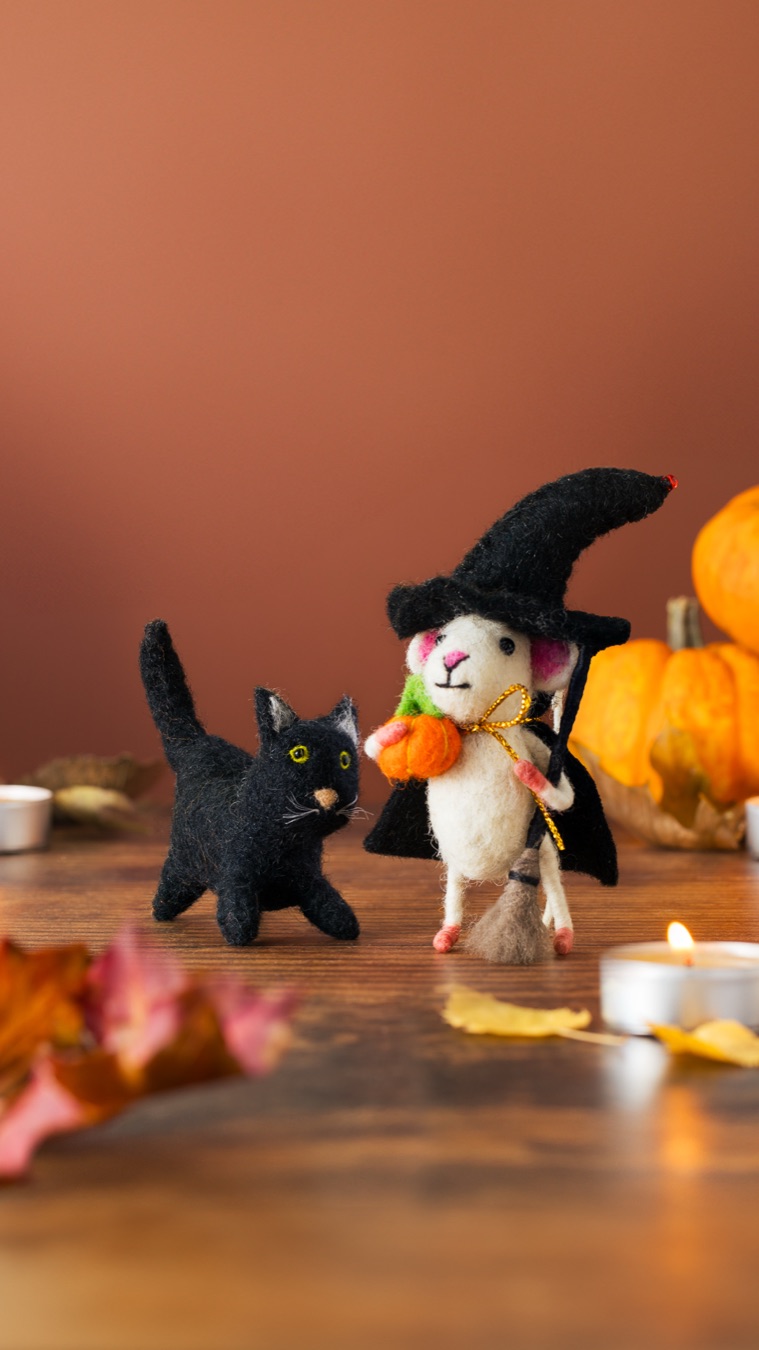 Witch Mouse and Black Cat